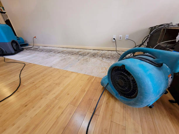 Professional Structural Drying technician working in Savage, MN